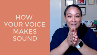 How Your Voice Makes Sound Blog Post